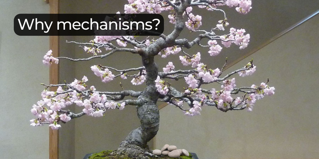Why mechanisms?